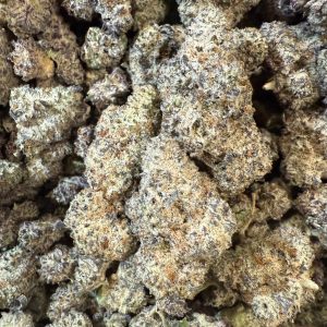 Grape Gusherz
