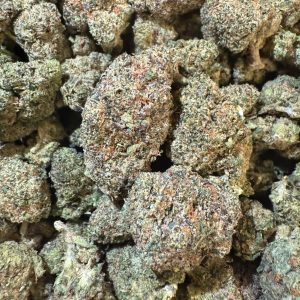 Garlic Mint