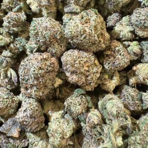 Tropical Berriez